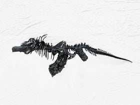 AK T-REX