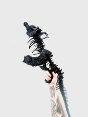 AK T-REX — vue 4