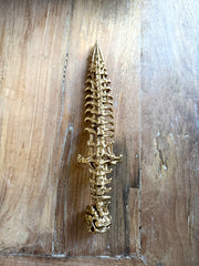 KNIFE T-REX GOLDEN VERSION