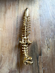 KNIFE T-REX GOLDEN VERSION