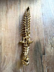 KNIFE T-REX GOLDEN VERSION