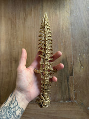 KNIFE T-REX GOLDEN VERSION