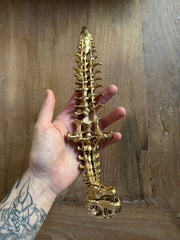 KNIFE T-REX GOLDEN VERSION