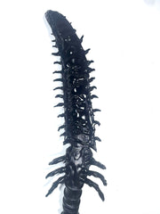 CENTIPEDE KNIFE