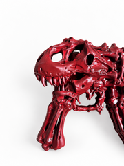 DRACO T-REX — détail du crâne de l’autre côté