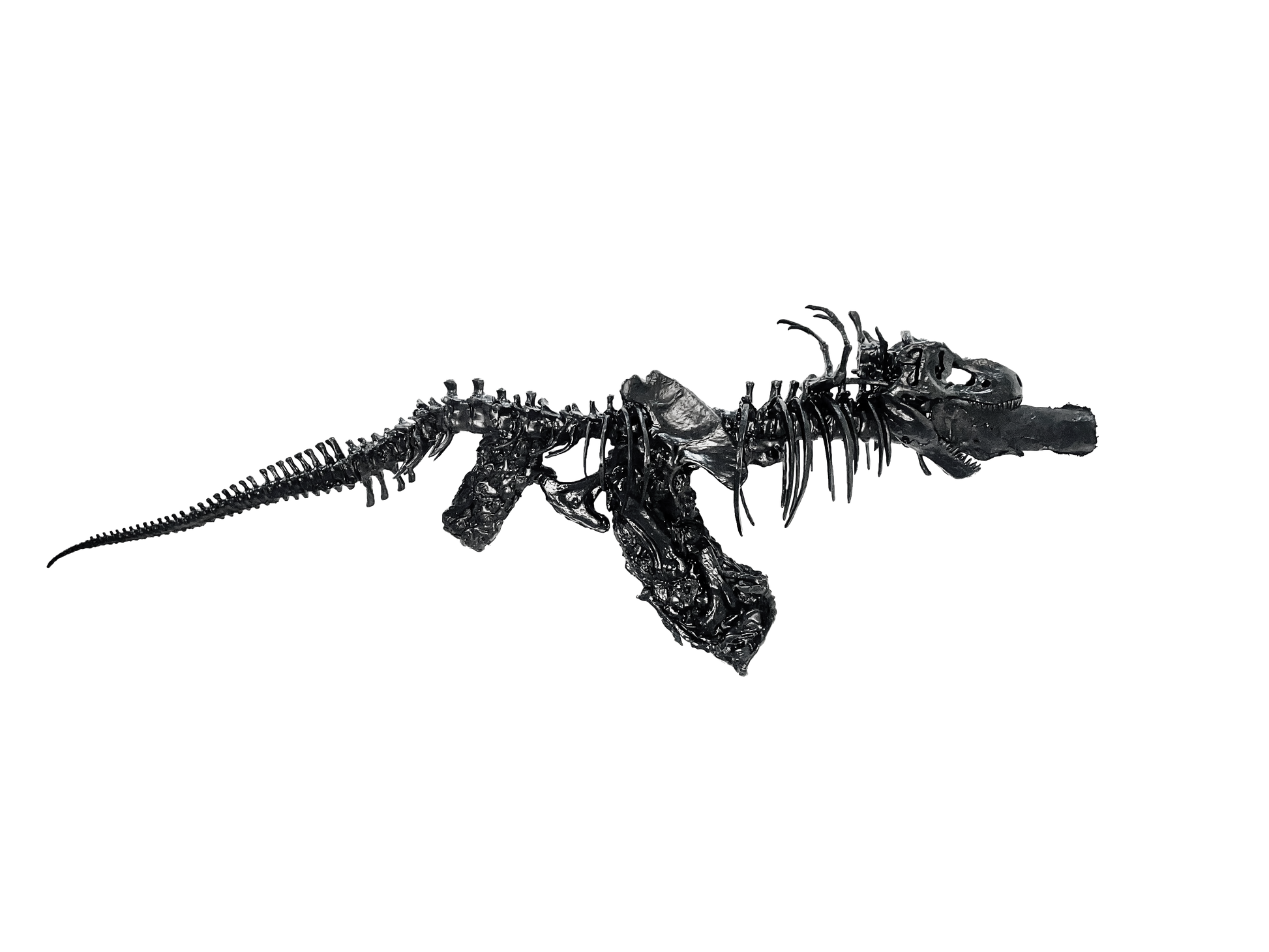 AK T-REX PÉTROLE