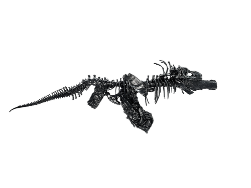 AK T-REX PÉTROLE