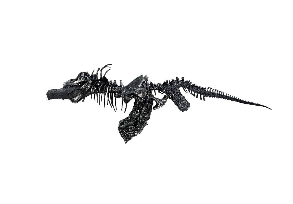 AK T-REX PÉTROLE